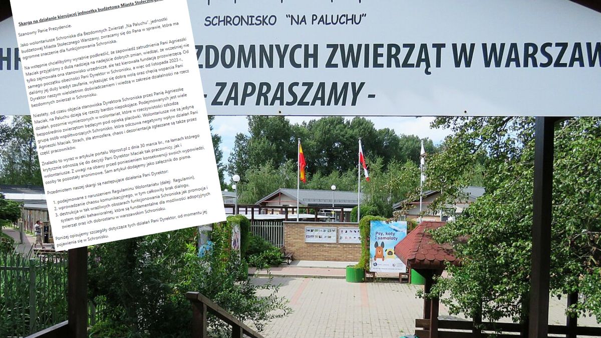 Wolontariusze kontra dyrekcja. Spór w znanym schronisku dla zwierząt