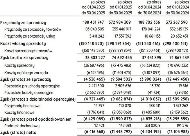 Wyniki finansowe Inmedio