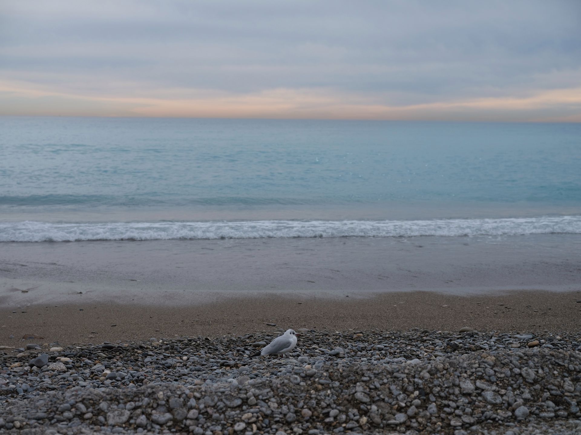 Fujifilm GFX 50S - pierwsze zdjęcia i wrażenia 84