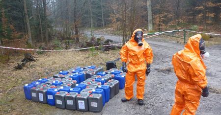 Leśnicy podali porażające dane. Oto, co znaleźli w lasach