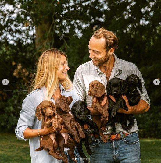 Brat Kate Middleton, James, z psami z hodowli cocker spanieli