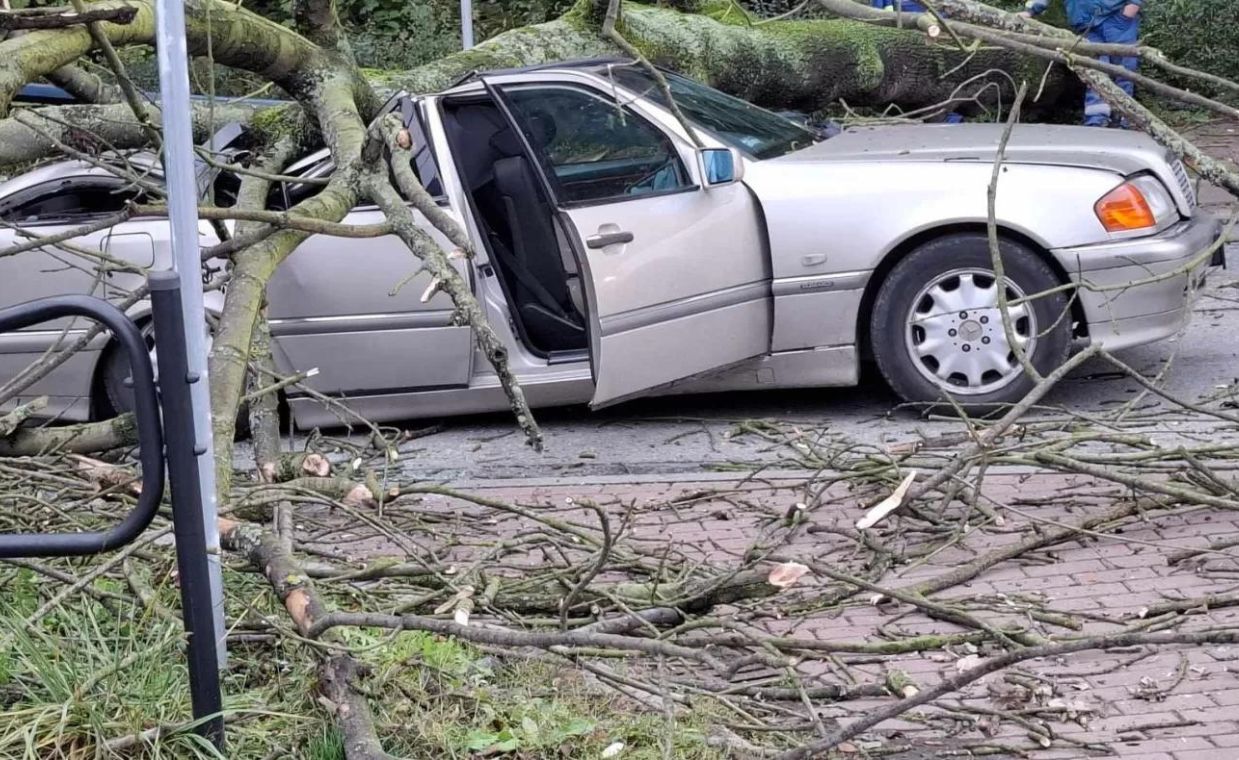 O krok od tragedii. Drzewo spadło na samochód