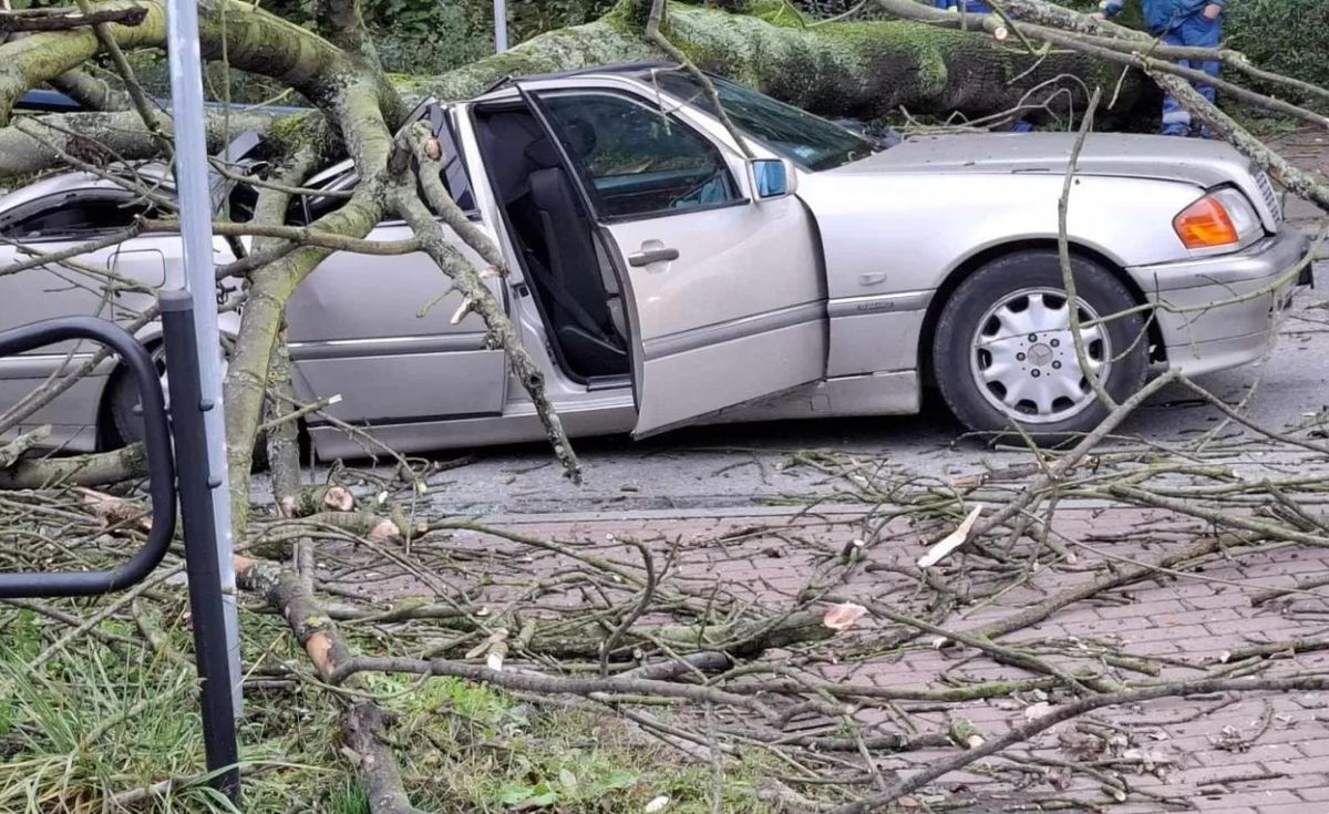 O krok od tragedii. Drzewo spadło na samochód