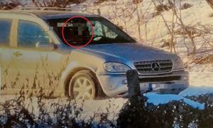 Polował na kaczki… z samochodu! 48-latek ma zarzuty