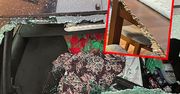 Był pijany i chciał pobić swojego dziadka. Grozi mu długa odsiadka