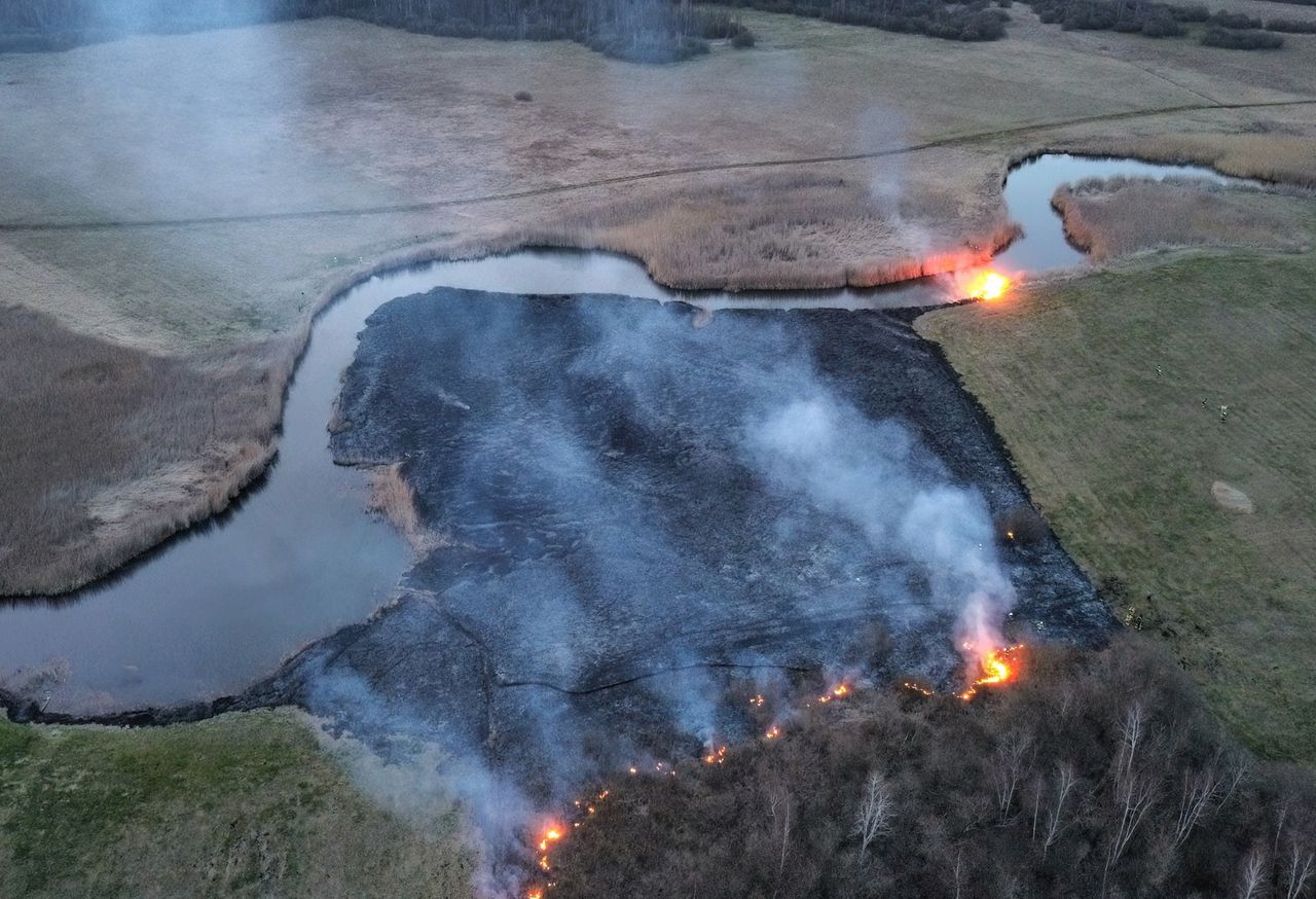 To nie ocieplenie klimatu. Ekspert o pożarach w Biebrzańskim Parku Narodowym