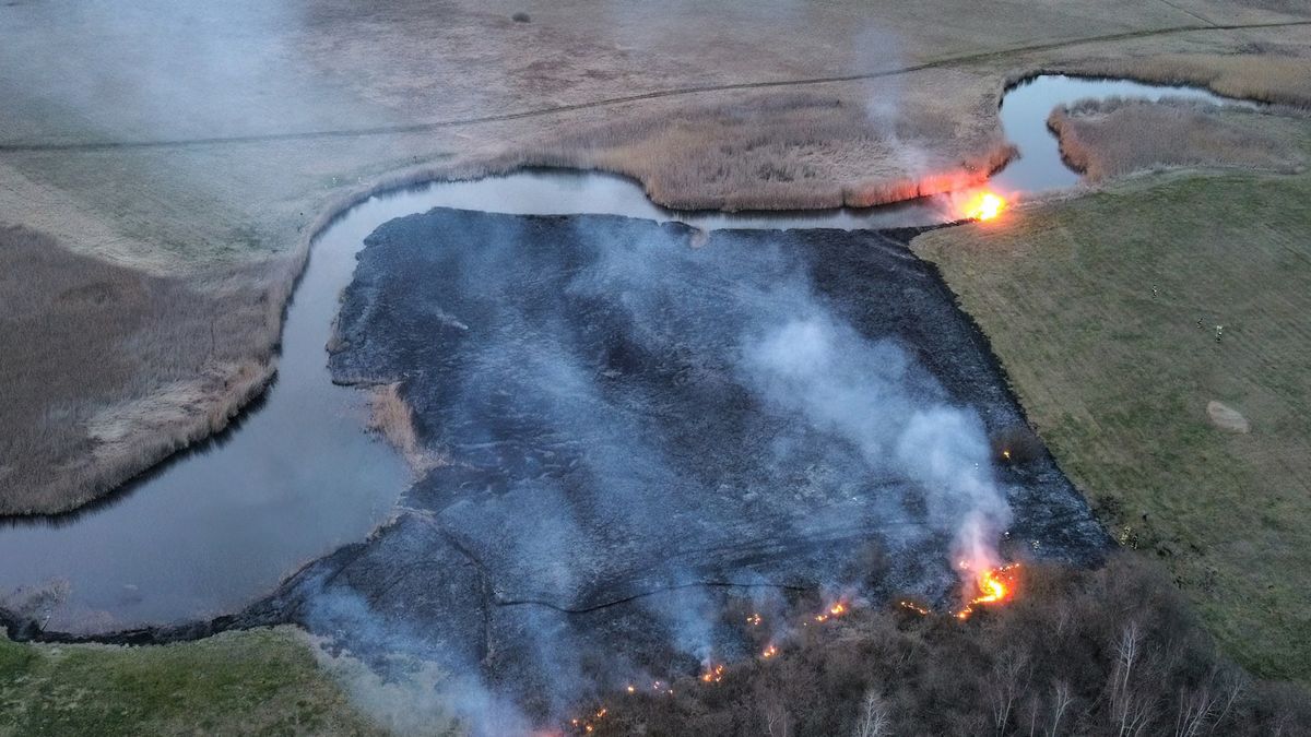 Ekspert o przyczynie pożaru w Biebrzańskim Parku Narodowym