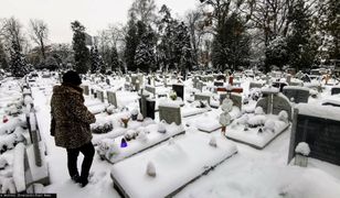 Renta wdowia. Oto propozycje kwoty i zasady wypłat