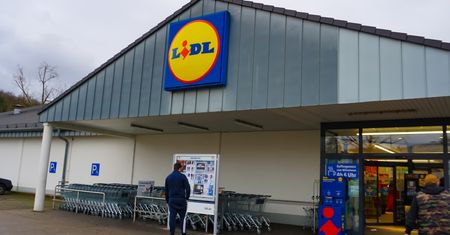 Istna plaga w Niemczech. "Kradną ją całymi torbami"