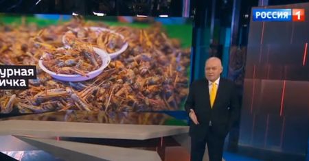 Oni naprawdę w to wierzą? Oto co w Rosji mówią o Europie