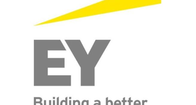 Agnieszka Zygo: z Banku Pekao SA do EY Polska