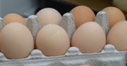 Czy większe jajka są smaczniejsze? Odpowiedź może niektórych zaskoczyć