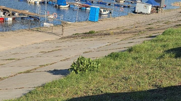 Zdjęcia załączone do interpelacji 