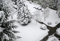 Pogoda na Boże Narodzenie 2025. Widać szansę na białe święta