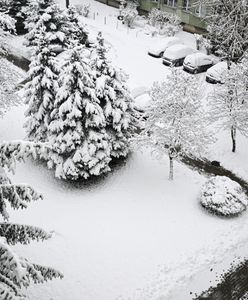 Pogoda na Boże Narodzenie 2025. Widać szansę na białe święta