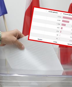 Tak głosowała Polonia w USA. Miażdżąca przewaga jednej partii