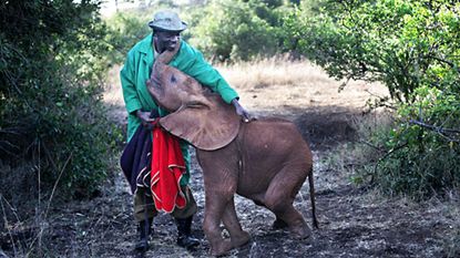 Www sieci: The Press Photographer of The Year 1