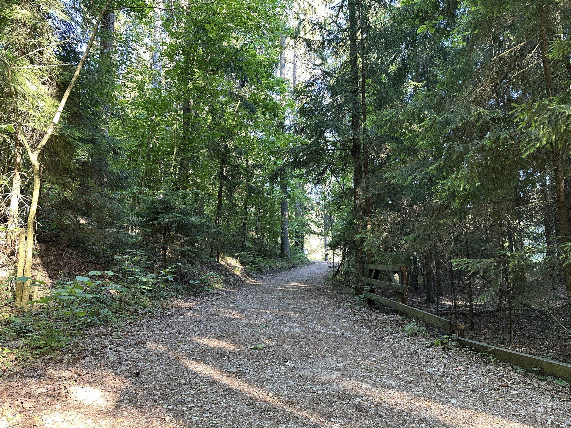 Wigierski Park Narodowy - ścieżka Las i Suchary