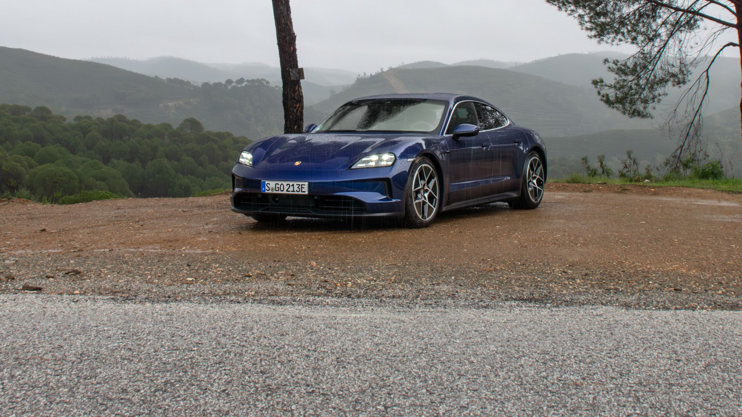 Porsche Taycan FL 2024