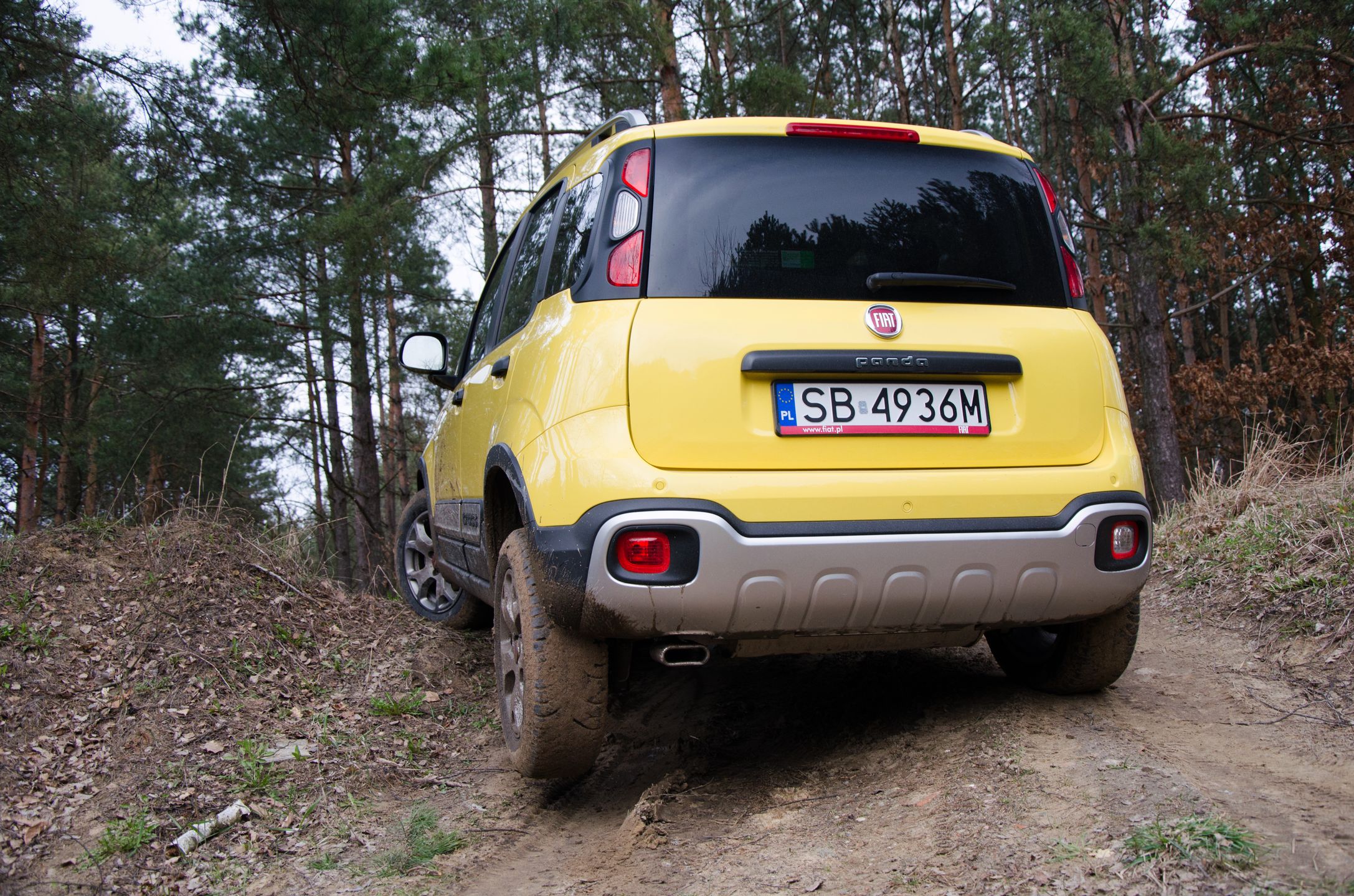 Fiat Panda Cross