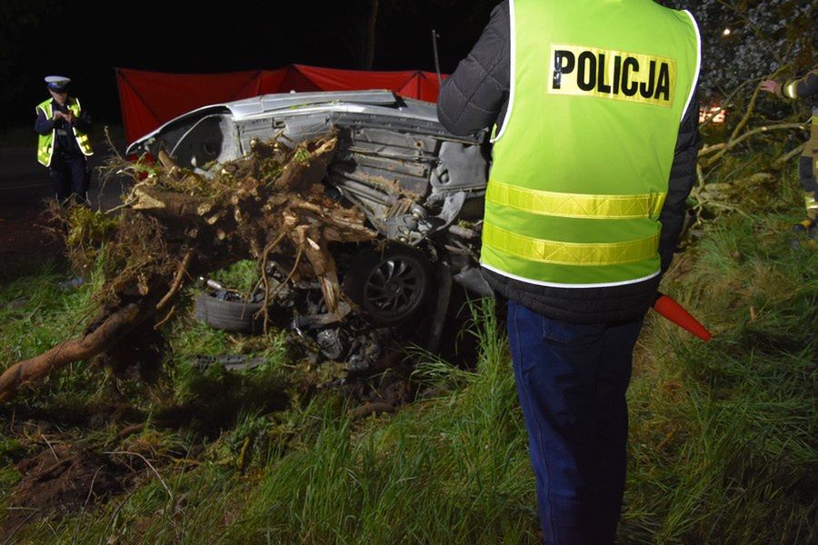 Fot. Pomorska Policja  BMW kompletnie rozbite po wjechaniu w drzewo