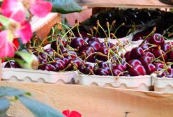 Cena czereśni szokuje. Ile trzeba zapłacić za kilogram owoców?