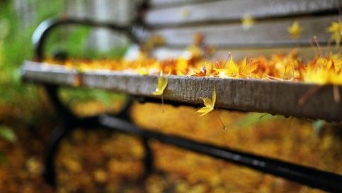 Jesienne inspiracje [galeria] 1