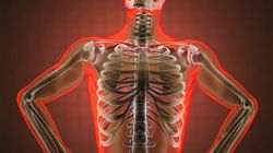 Żebra - budowa i funkcje. Ile żeber ma człowiek?