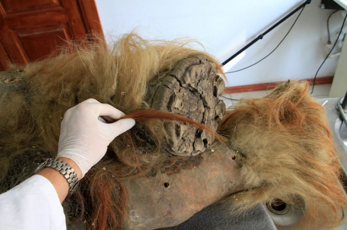 Scientists have reconstructed the mammoth genome. This is a huge breakthrough.