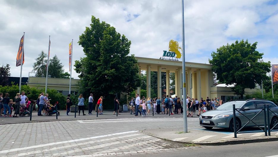 Wrocław. Jubileusz wrocławskiego ogrodu zoologicznego. Ma 155 lat
