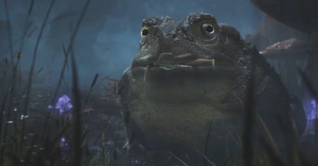 Seria Fable powraca. Pokazano pierwszy zwiastun nowej części