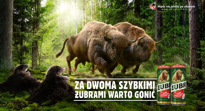 Startuje promocja "Za Dwoma Szybkimi Żubrami warto gonić"