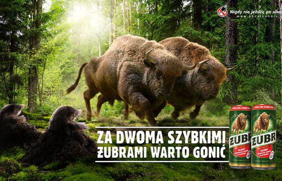 Startuje promocja "Za Dwoma Szybkimi Żubrami warto gonić"