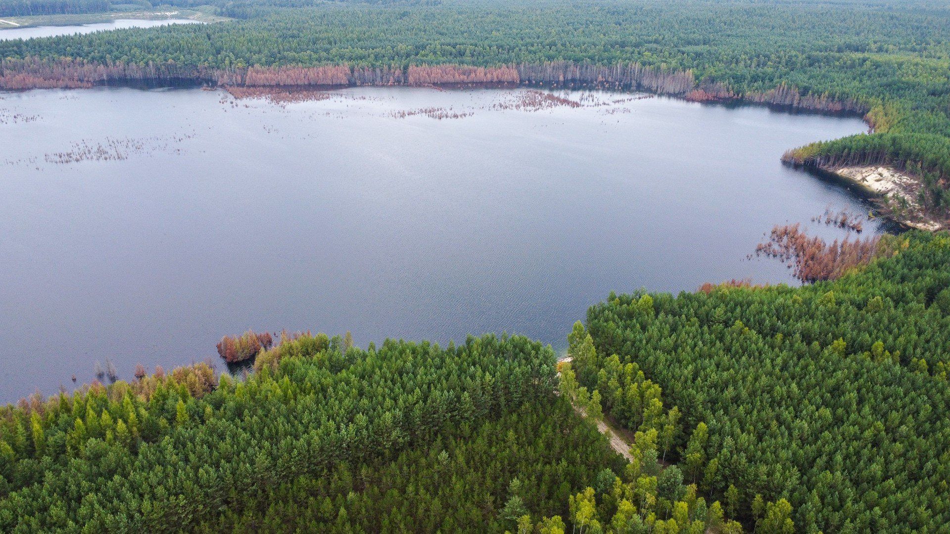 Zalewisko w Hutkach