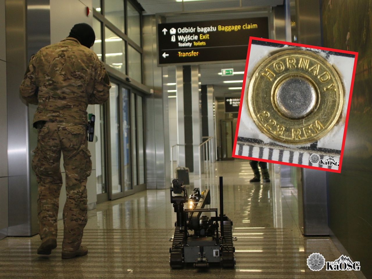 28-letni Brytyjczyk miał to w bagażu. Strażnicy ujawnili 11 sztuk