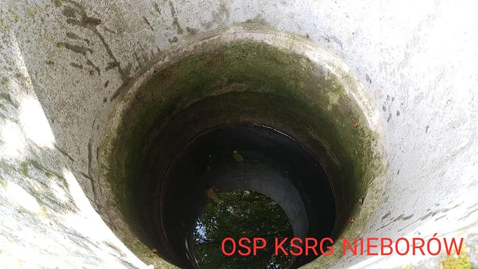 Pies był skazany na śmierć. Nie potrafił samodzielnie wydostać się ze studni 