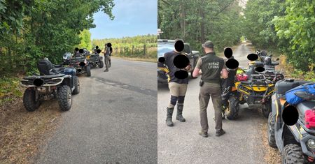 Miarka się przebrała. Leśnicy mówią "dość"