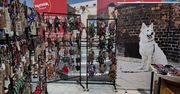 Kraków: Pupilove Targi na dobre rozgościły się w mieście