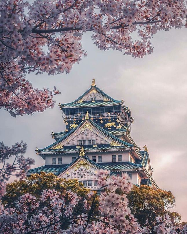 Zamek w Osace, Japonia