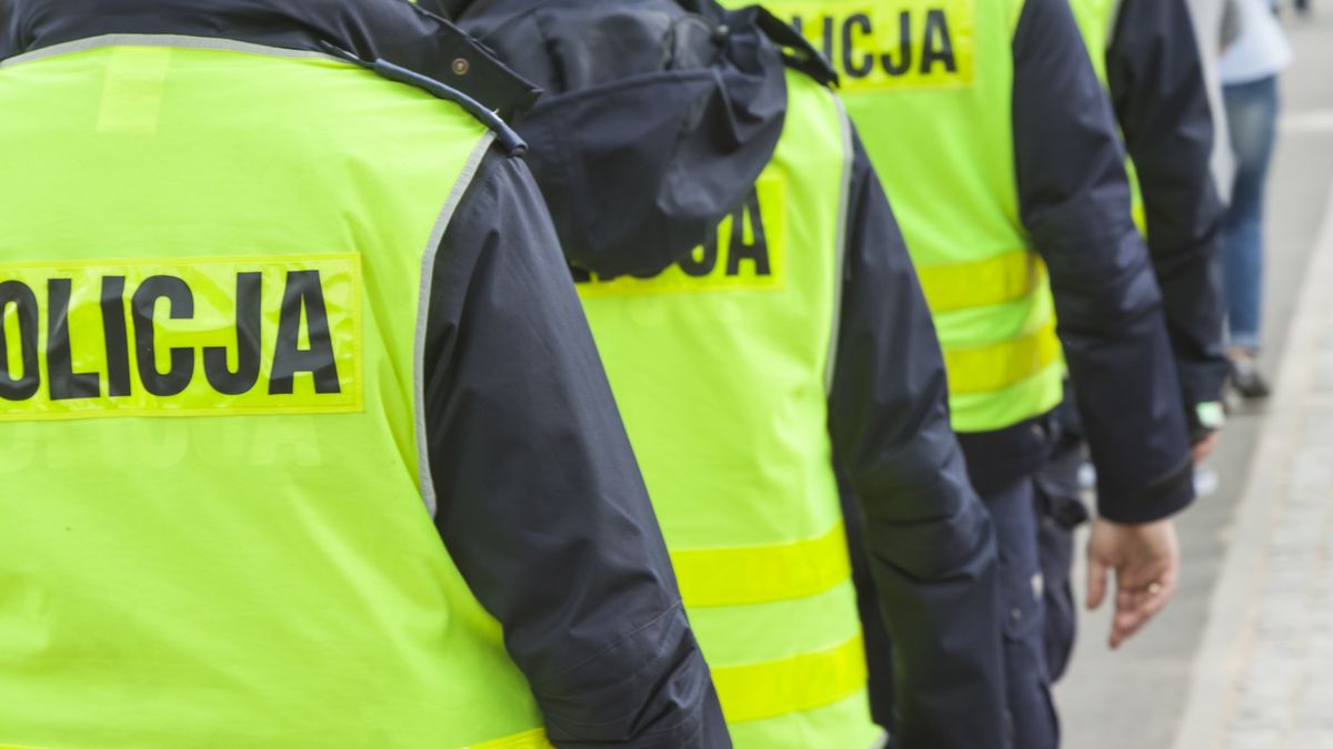 Polscy policjanci - zdjęcie poglądowe