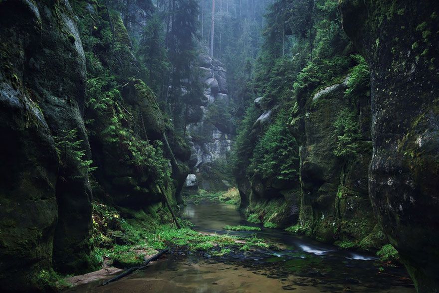 Z kolei cykl baśni „Baśnie braci Grimm" został spisany przez niemieckich pisarzy i językoznawców, braci Wilhelma i Jacoba Grimmów i opublikowany w roku 1812 (tom I) i w roku 1815 (tom II) roku.