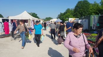 Tak wyglądał targ w Opatowie w środę 27 maja. Mieszkańcy ruszyli po truskawki i sadzonki. Jakie ceny? Sprawdź
