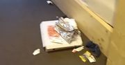 Pokazał nagranie z hotelu. "Czegoś takiego w życiu nie widziałem".