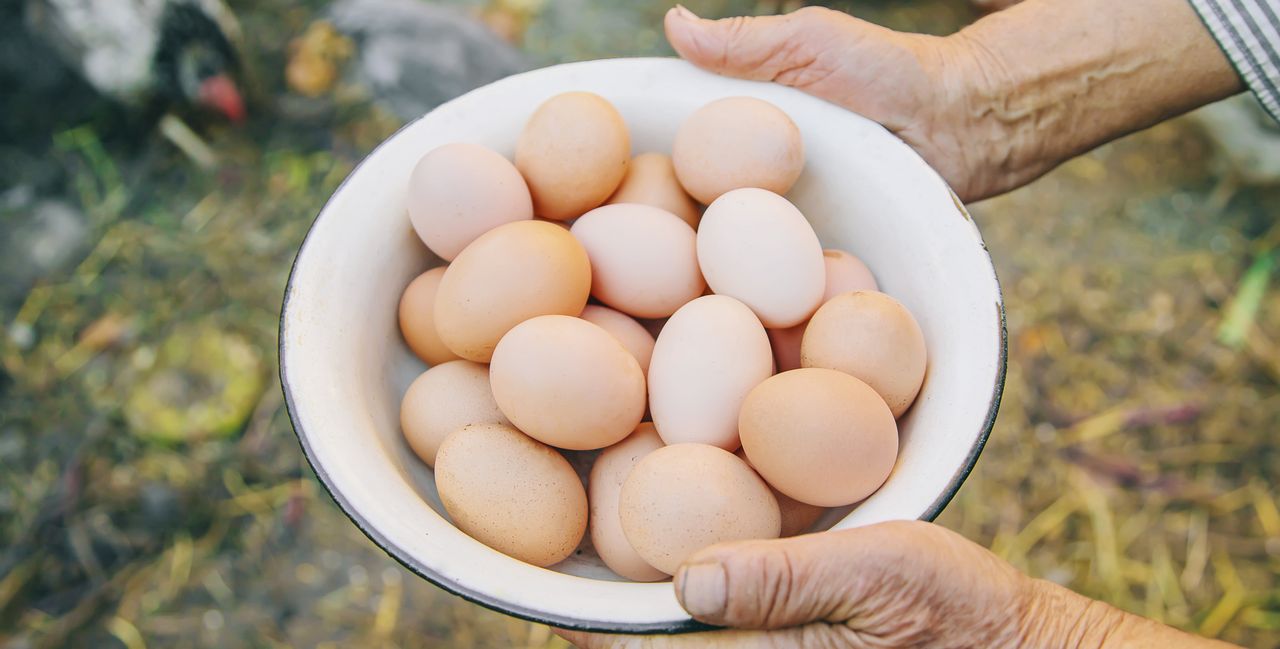 Ile jajek tygodniowo powinni jeść seniorzy? Badacze podali konkretną liczbę