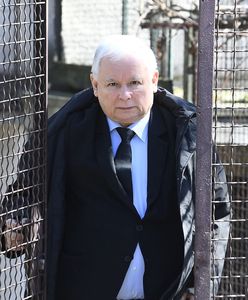 Koronawirus. Jarosław Kaczyński przyłapany bez maseczki