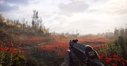 STALKER 2 – premiera, cena, wymagania PC, mody, multiplayer