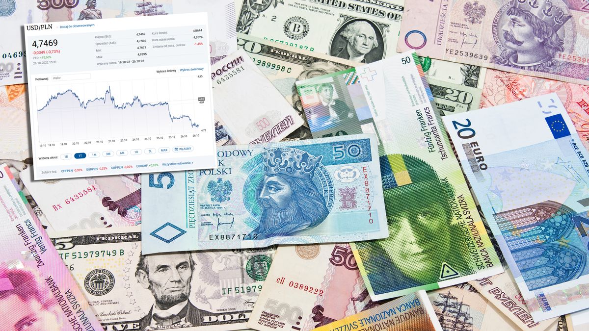 Złoty nadrobił trochę tegorocznych strat do dolara