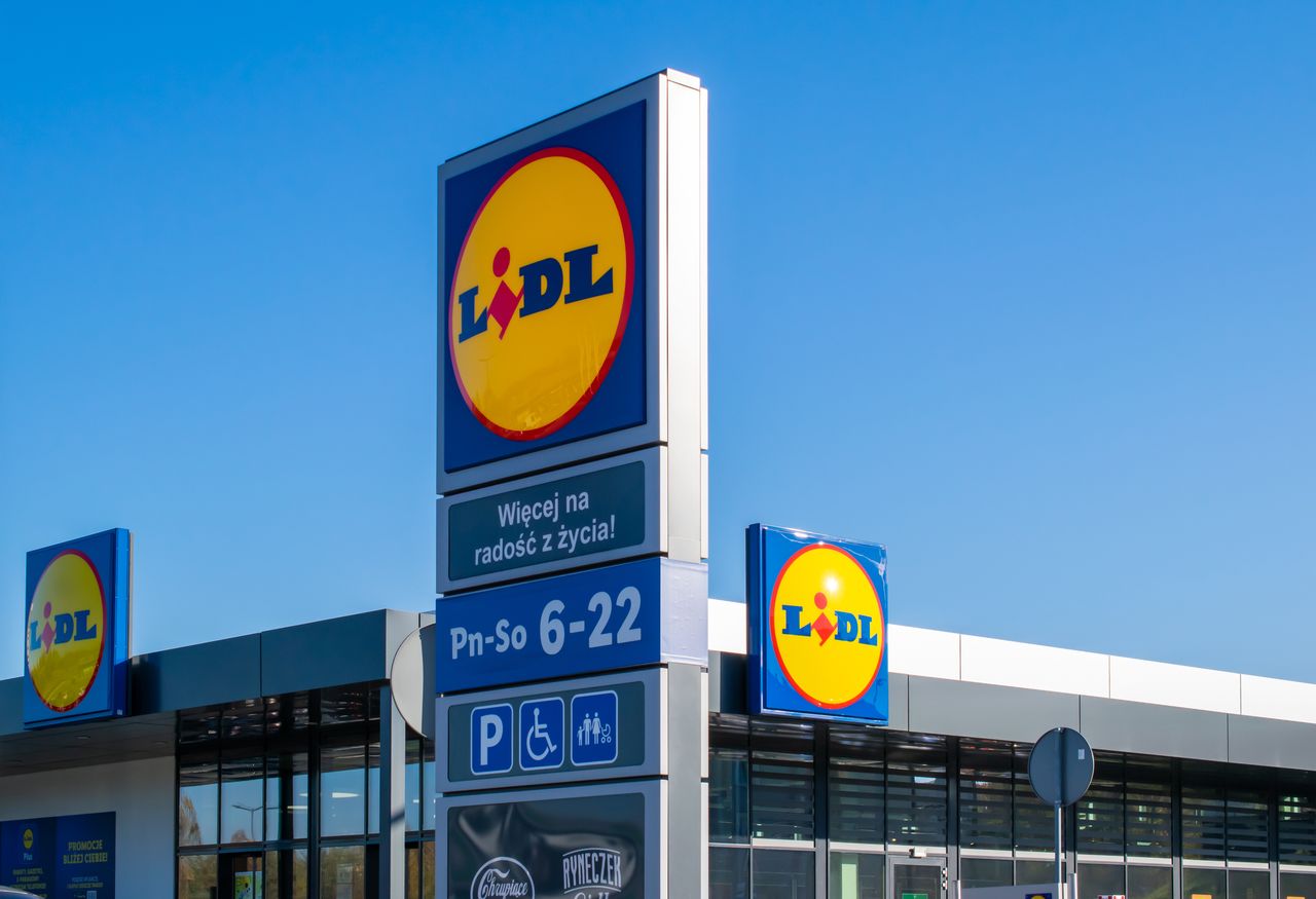 Lidl szuka ponad 1000 pracowników. Duży wachlarz zarobków