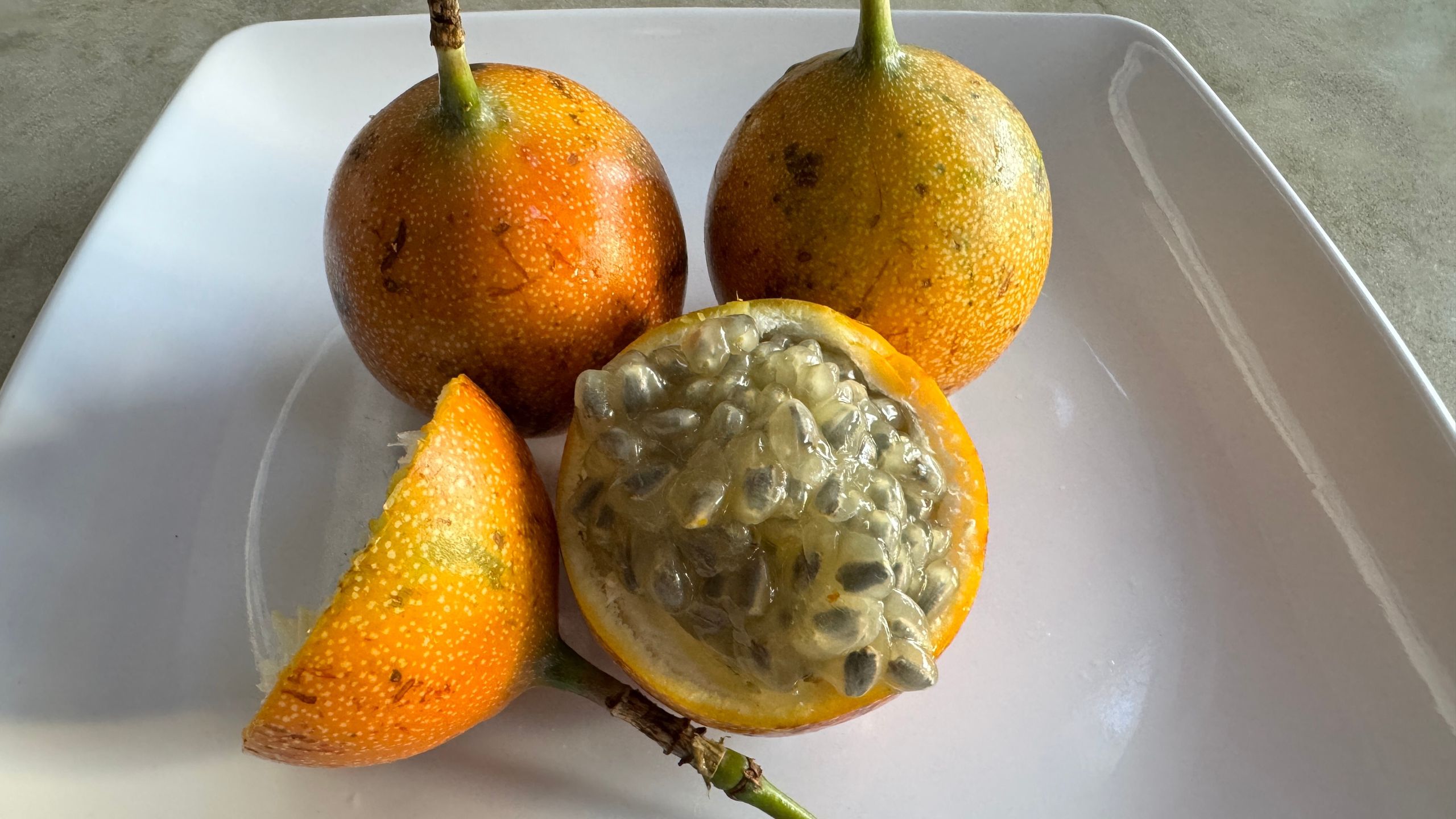 Granadilla