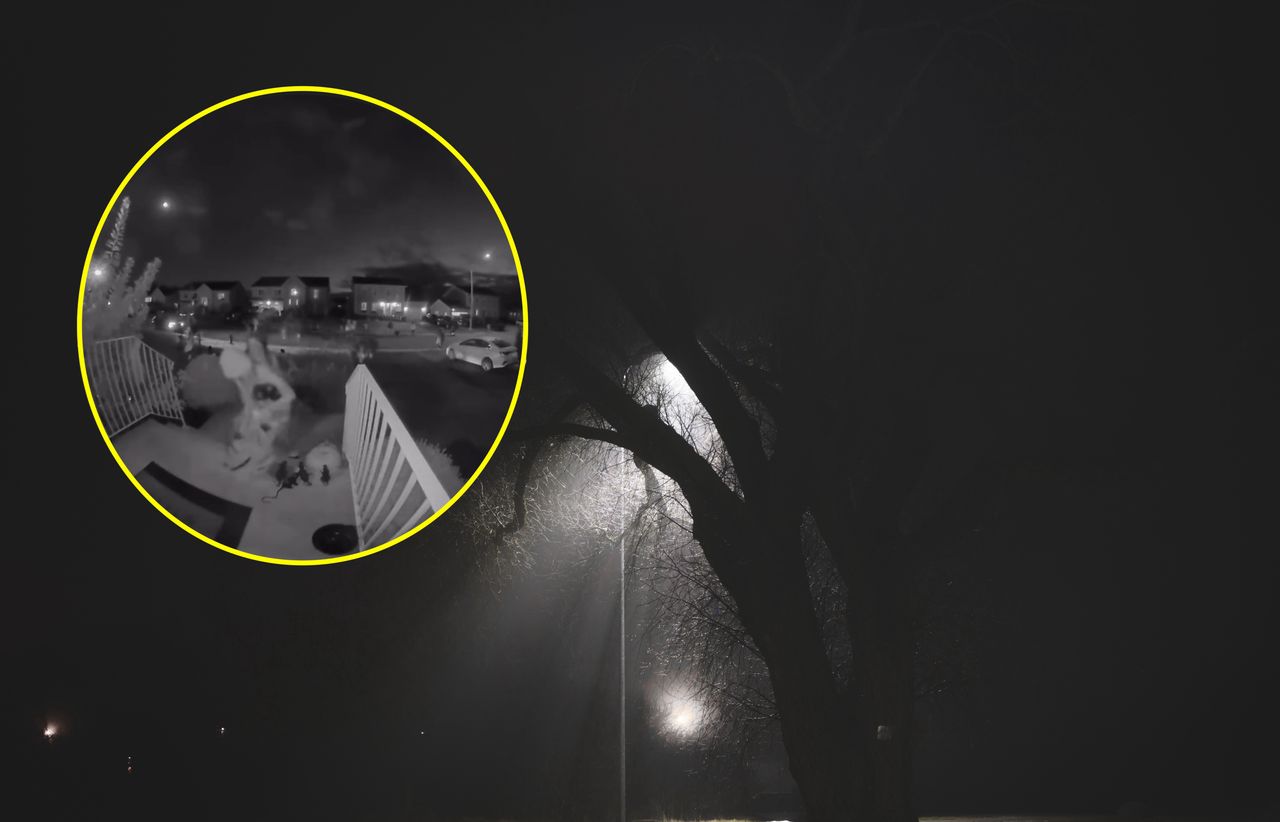 Tego się nie spodziewała. Polka pokazała wideo z Halloween w Kanadzie